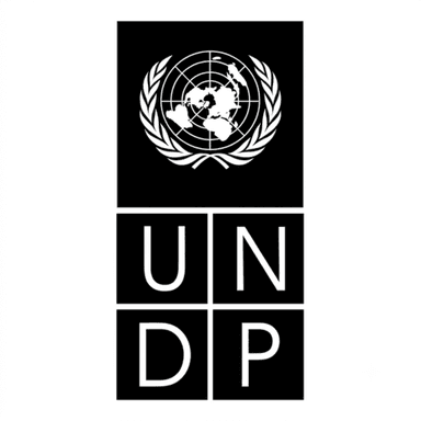 UNDP